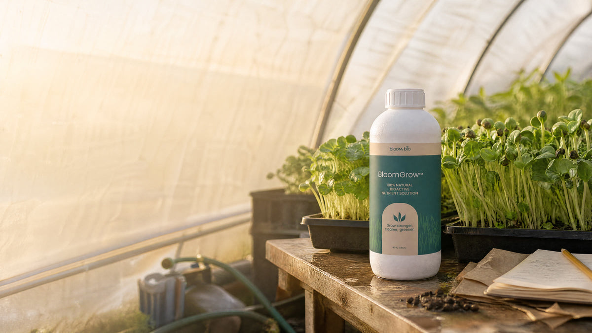 BloomGrow 1 L bottle on a sunlit greenhouse bench beside microgreen trays