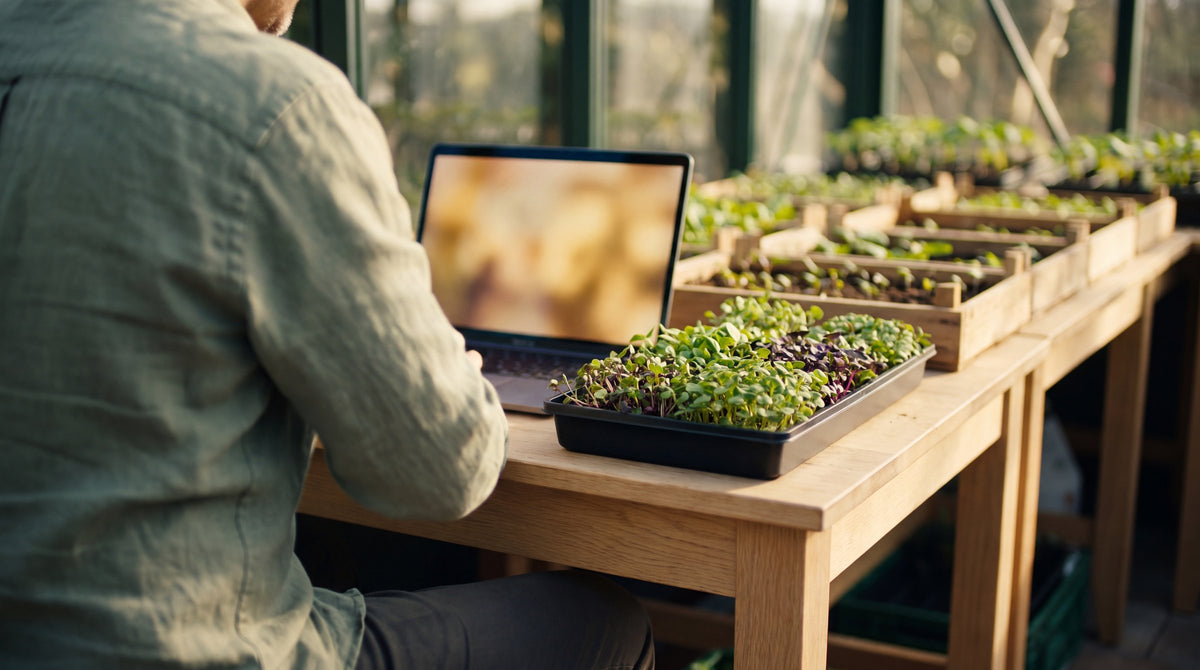 Grower at a greenhouse potting bench on a video call, a tray of fresh microgreens in front of the laptop