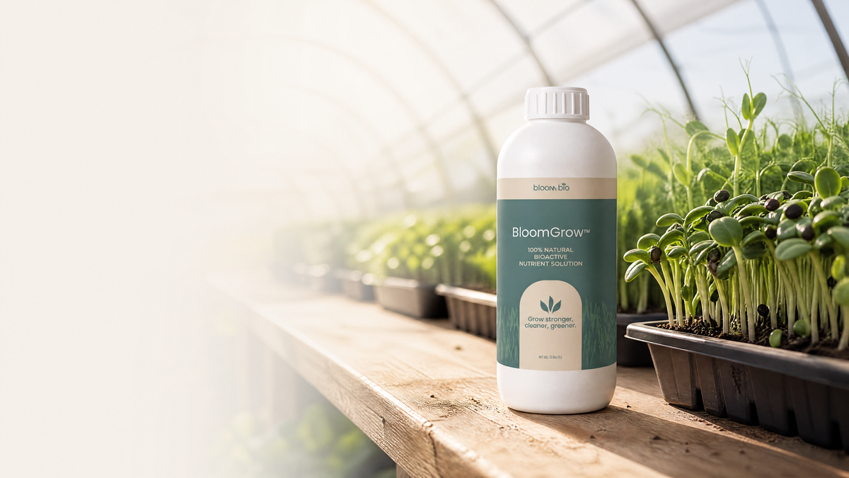 BloomGrow 1 L bottle on a wooden bench in a sunlit arched greenhouse beside trays of sunflower and pea microgreens